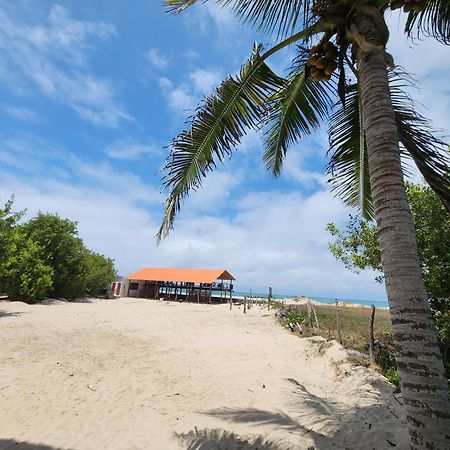 Hotel La Jungla Пуэрто-Вильямиль Экстерьер фото